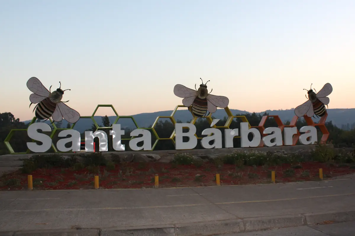 Santa Bárbara y el valle del alto Biobío, Región del Biobío