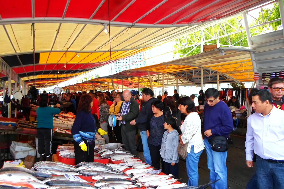 Los puestos de la Feria Fluvial de Valdivia junto al río
